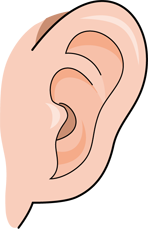耳と腎の関係